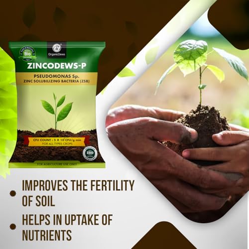 Image of OrganicDews Zinc Solublizing Bacteria Bio Fertilizer 250 g (5x10^7 CFU /g) for Plants - Soil Fertility, Faster Plant Growth and Increases the Yield 250 g