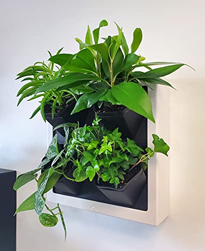STEADY HOME Self-Watering Wall-Mounted Planter Indoor/Outdoor Decor with 4 Pots,