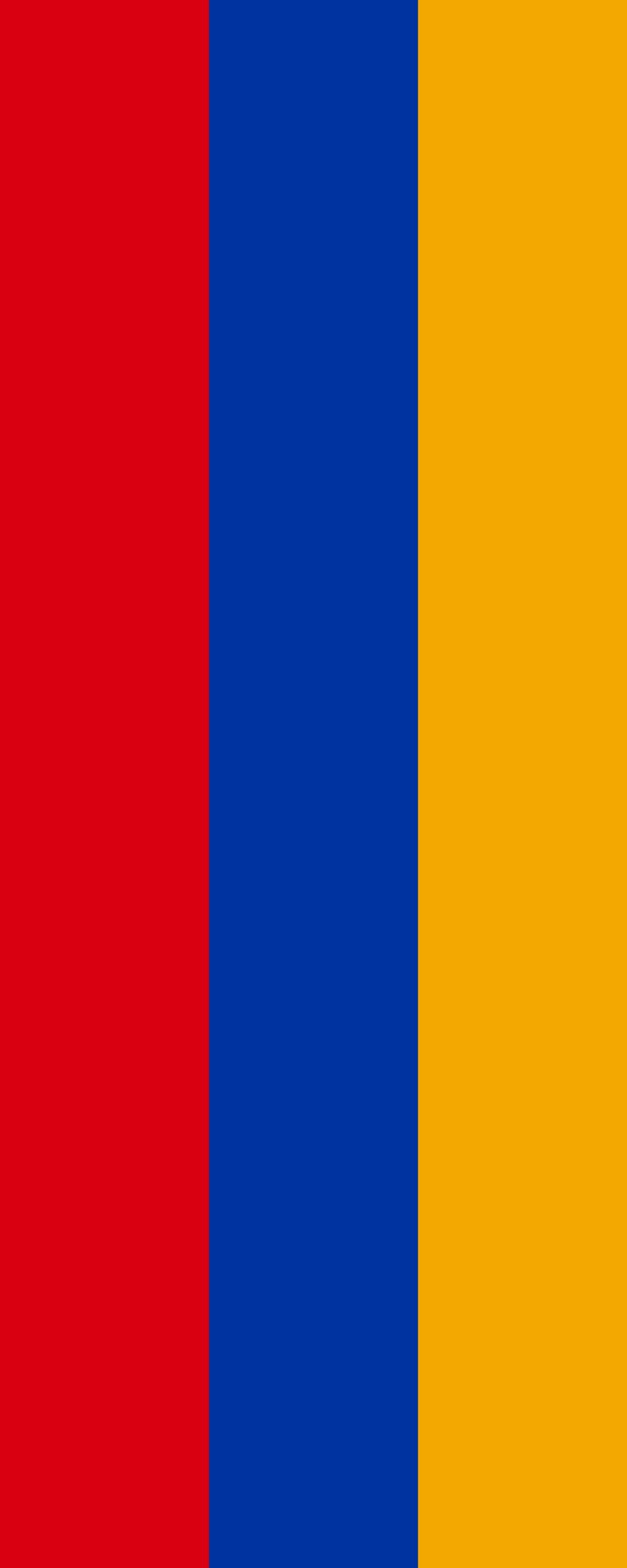Drapeau Arménie format portrait de 300x120cm pour mât extérieur