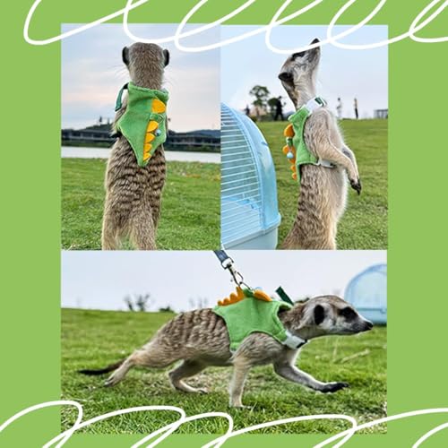 Image of MANON ROSA Ferret Harness and Leash Set Small Animal Clothes Dinosaur Shaped Walking Vest for Baby Rabbit Guinea Pig Bunny Puppy Mouse Pets Teacup Chihuahua (Pink)