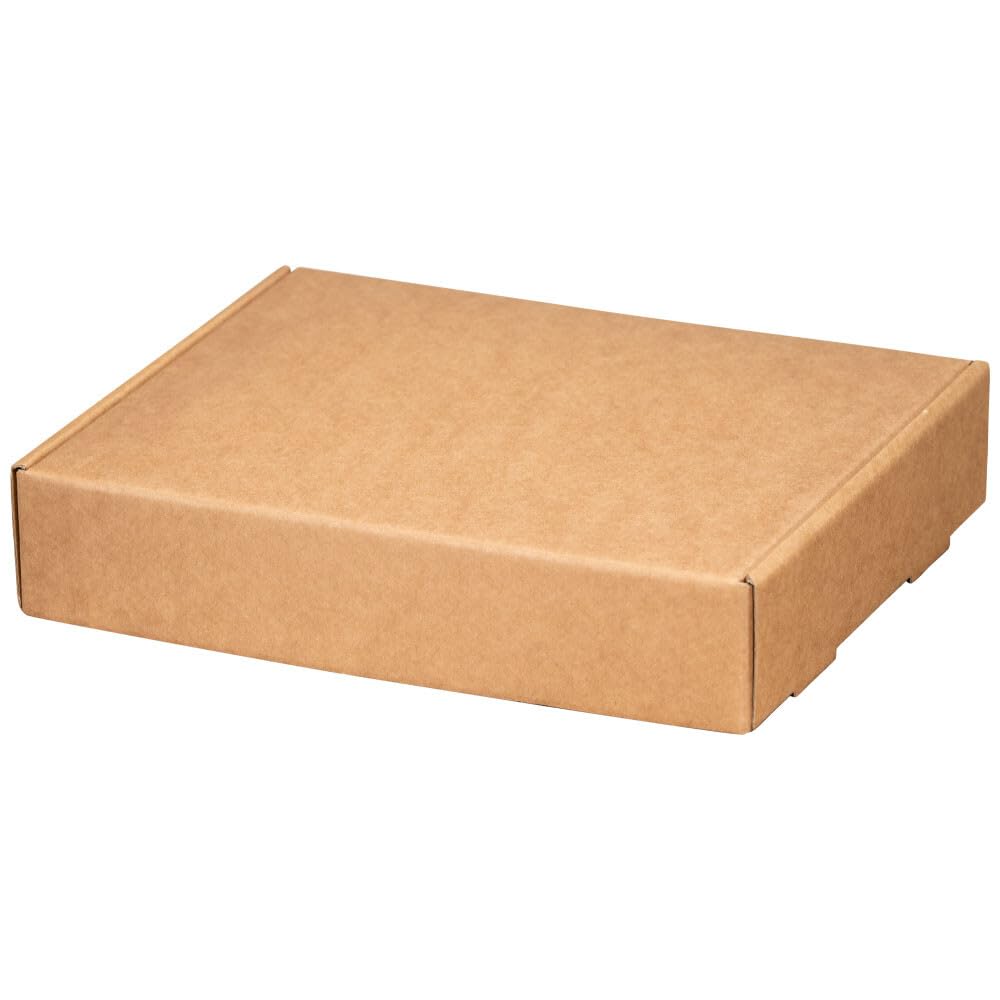Feinkostkarton Naturfarben groß 24,5 x 20 x 5 cm, 50 Stück