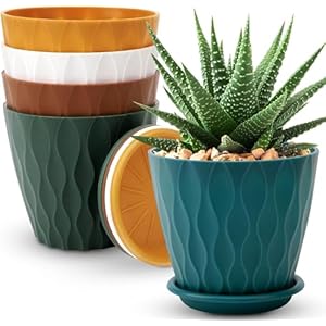 6 inch Plant Pots, 5 Pack Flower Pots Outdoor Indoor, Planters with Drainage Holes and Tray Saucers（Multicolor）