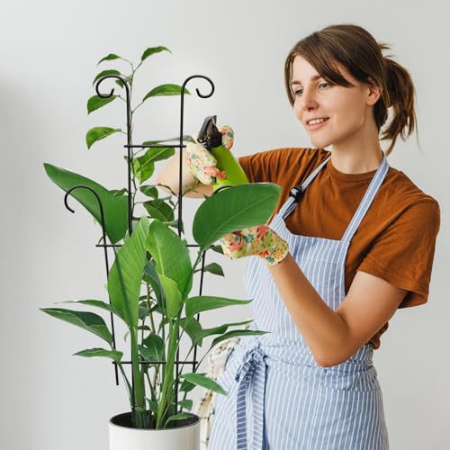 Image of 4P Plant Trellis for Potted Plants, Larger 23in Garden Trellis for Climbing Plants Indoor Outdoor, Rustproof House Plant Support Stakes for Pothos Hoya Ivy Flower