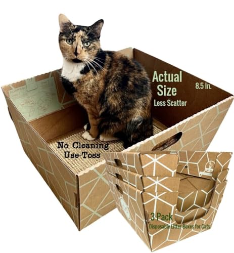Cats Desire Pack 3 Areneros Desechables Extra Grandes miniatura 1