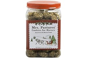 Mrs. Pastures Christmas Cookie Jar: A Festive Treat for Your Equine Companion