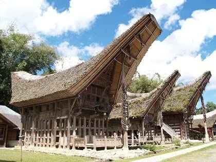 R[q[ 1kg ChlVA ZxXArJ G1 R