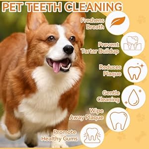 Dog teeth cleaning wipes for dogs  cats 60 counts dog dental care wipes dog tooth brushing kit dental wipes remove bad breath by reducing tartar buildup  freshens breath   cucciolini doodles