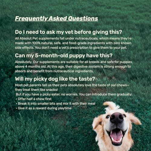 Image of Absolut Pet Dog Supplement for Oral Care, Dental Powder for Dogs that Reduces Plaque & Tartar | Freshens Breath & Supports Gum Health (30 Servings)