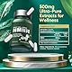 NMNH 500 mg pro Portion - hochreines NAD-Ergänzungsmittel zur Erhöhung der NAD +-Spiegel, Anti-Aging, Energie und Konzentration, 120 Kapseln