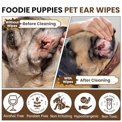 Image of Foodie Puppies Anti-Bacterial Pet Ear Wipes 150 Pieces - (Pack of 2) for Dogs, Cats and Other Small Animals | Daily Care Ear Wipes Suitable for Cleaning Stains, Ear Debris, Wax, Odor, Dirt