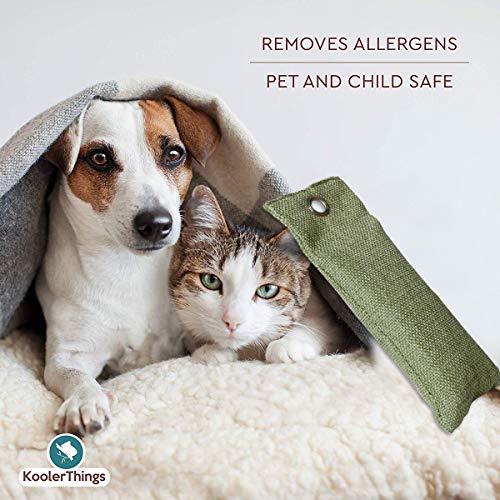 Sacchetti per la Purificazione dell'Aria al