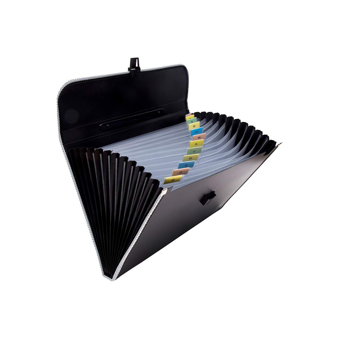 SPS 13 Pocket Expanding File Folder with Buckle Closure,Label Index and ...