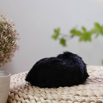 Amazon.com: Realistic Cute Small Sleeping Border Collie Dog