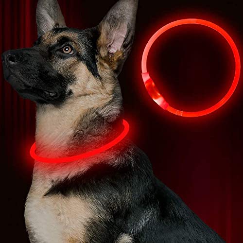 LED Hundehalsband, LED Halsband für Hunde, Halsband Hund LED Leuchthalsband USB Aufladbar Längenverstellbar (Rot2) Cover