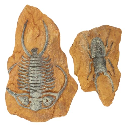 BESTonZON DIY Reptile Box Ornaments 2 Pack Lizard Terrarium Decor Creative Landscape for Small Pet Toys