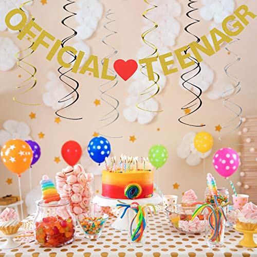 Official Teenager Banner, LANMOK 13th Happy Birthday Banner with 6pcs Glitter Ceiling Swirls Hanging Decor for 13th Birthday Party Supplies Ceremony Decorations