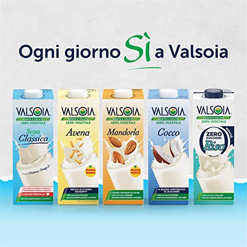 Vitasoya Soyadrink 100% vegetale