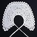 Joyci Women's White Hollow Out Lace Floral Fake Collar Lolita Big Shawl False Collar for Summer Dress (J10)