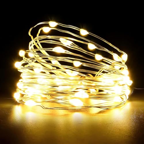 Blisvivi Fairy Lights,5m 50 LED Battery Operated Copper Wire Fairy String Lights，Waterproof Outdoor/Indoor Lights for Bedroom, Christmas, Parties, Wedding, Tree Decoration (Warm White, 1PCS 5M 50LED)