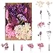 gerFogoo Natürliche Getrocknete Blumen, Trockenblumen Set, Trockenblumen zum basteln, DIY Gemischte Echte Getrocknete Gepresste Blumen für Kunst Basteln, Scrapbooking Handwerk Machen, DIY-Kerze Harz Mac Book günstig Kaufen-gerFogoo Natürliche Getrocknete Blumen, Trockenblumen Set, Trockenblumen zum basteln, DIY Gemischte Echte Getrocknete Gepresste Blumen für Kunst Basteln, Scrapbooking Handwerk Machen, DIY-Kerze Harz