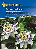 Kiepenkerl - Blumen-Saatgut