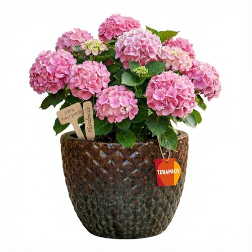 Teramico Frostfester Pflanzkübel aus Premium-Steinzeug | Glasierter Keramik-Pflanztopf in einzigartiger 3D Bubble-Struktur | Garantiert Langlebig, Winterhart für Garten & Terrasse (Antik Braun 30cm)