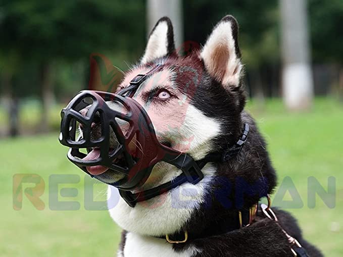 Image of Pet Muzzle /Mouth Cover for Anti Biting Dog - Adjustable Pet Safety Strap Plastic Muzzle Cum Mouth Cover /Basket Cage (Large)