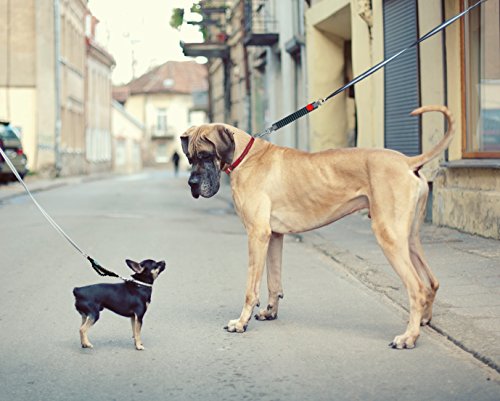 Easy Dog Walk WAW größe 5 L schwarz 16-25 kg