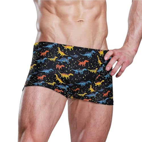 Dinosaur Dino Cute Mens Swim Trunk Swimwear Bathing Suit Swim Brief Square Leg Board Short S B04035423