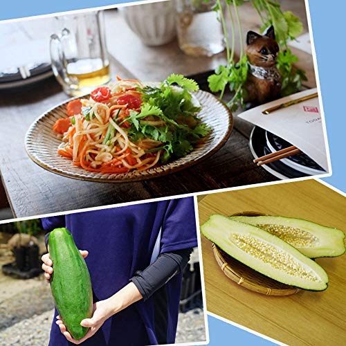 栽培簡単 パパイヤ の育て方 家庭でも育てやすい矮性品種のご紹介 園楽project 園芸 植物を楽しむ情報サイト