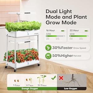 Hydroponics Growing System Indoor Garden, 44 Pods Plant Herb Garden Plant Germination Kit with LED Grow Light, 10L Double-Layer Large Capacity Hydrophonic Planter Grower for Home Vegetables Fruits Hydroponics Growing System Indoor Garden 44 Pods Plant Herb Garden Plant Germination Kit with LED Grow Light 10L Double Layer Large Capacity Hydrophonic Planter Grower for Home Vegetables Fruits