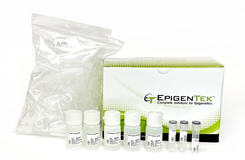 FitAmp Blood and Cultured Cell DNA Extraction Kit - 100 Samples