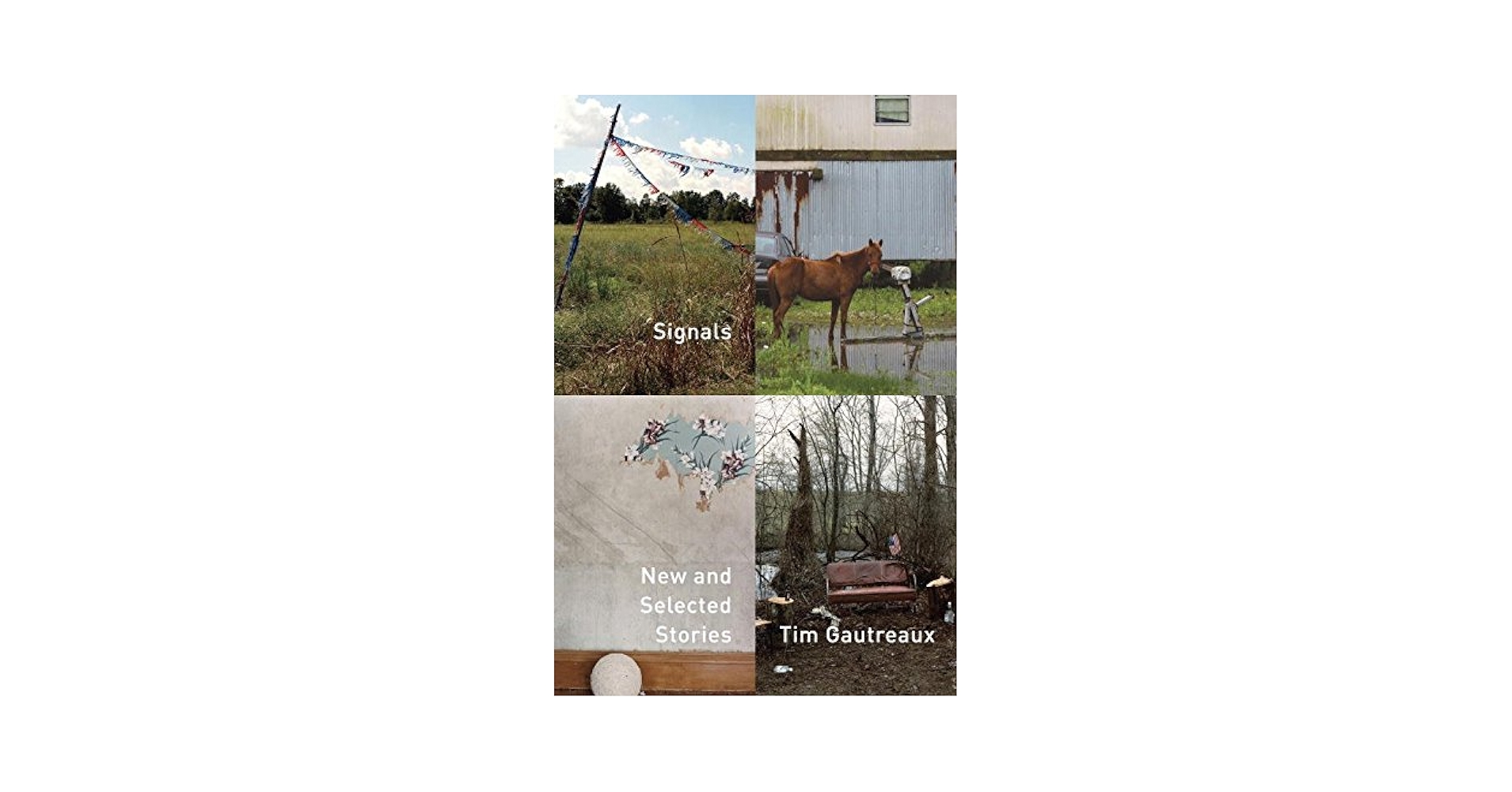 Signals: New and Selected Stories: Gautreaux, Tim