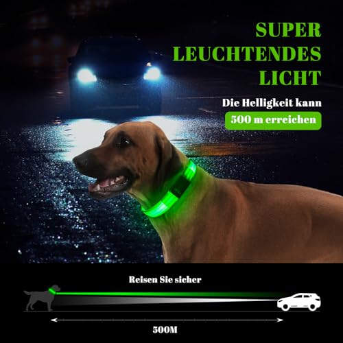 Leuchthalsband Hund, Hundehalsband Leuchtend Aufladbar mit Batteriekontrollleuchte, Wasserdichtes LED Hundegeschirr Leuchtend, Einstellbare Größe 3 Blinkende Lichter