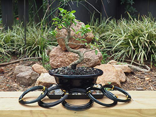 Grow A Bonsai Tree Eloxiertes Aluminium Bonsai Draht 5-Größe Starter Set - 1,0mm, 1,5mm, 2,0mm, 2,5mm, 3,0mm (45 Meter Insgesamt) - (5 Größen, Schwarz)