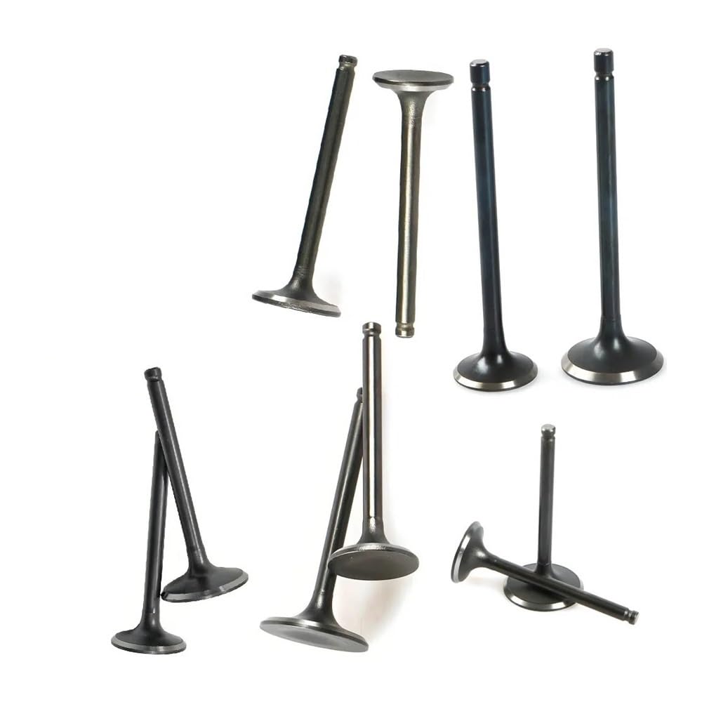 Parts Motorcycle Intake Valve and Exhaust Valves Set Fit for gy6-50/125/150 CG125/150 YBR125/150 JH70 Motocross(GY6-50)