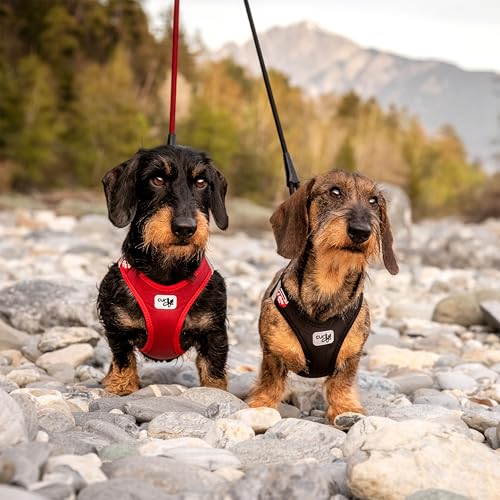 Vest Harness curli Clasp Softshell Red XL