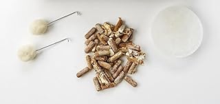 Shiitake Mushroom Plug Spawn Starter Kit - Grown Your Own Mushrooms Edible