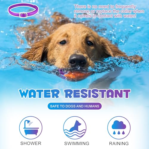 Halsbands Hund 3Pcs, Einstellbares Design Pheromon Halsband Hund für Angst, Adaptil Calm Halsband No Stress Formula, beruhigungshalsband für hunde, Hunds Pheromone Halsbands Klinisch bewährt,18.9 Zoll