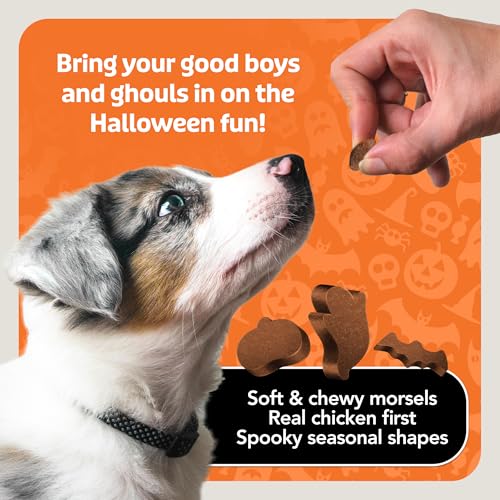 Blue Buffalo Boo Bits Soft & Chewy Halloween Dog Treats, Tasty Chicken Recipe, 4.5-oz Bag (Pack of 4) - image 4