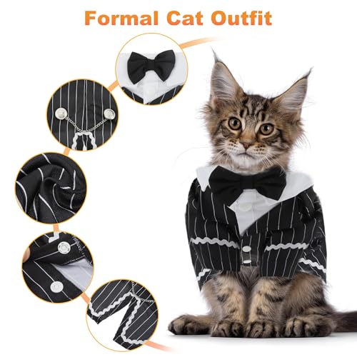 #1 Best Cat Apparel Stylish - Premium Pet Apparel Set - Image 3