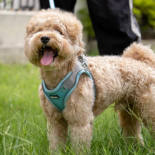 Image of AIITLE No Pull Dog Harness and Leash Set, Step in Adjustable Dog Harness with Padded Vest for All Weather, Dog Leash with Soft Padded Handle, Easy to Put on Small and Medium Dogs Blue S