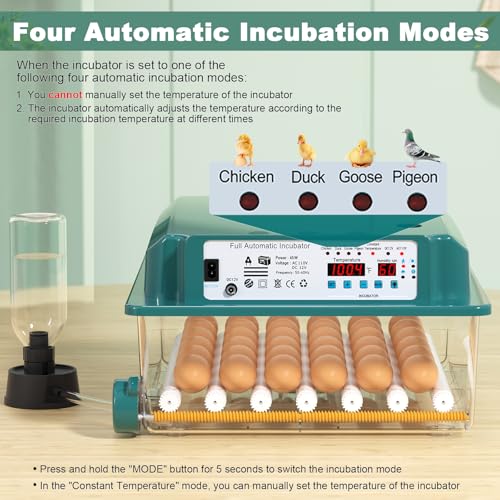Image of CoInceptus 36 Eggs Incubators for Hatching Eggs,Egg Incubator with 4 Automatic Incubate Mode,Chicken Incubator with Automatic Egg Turning Humidity Display,Quail Egg Incubator with Egg Candle
