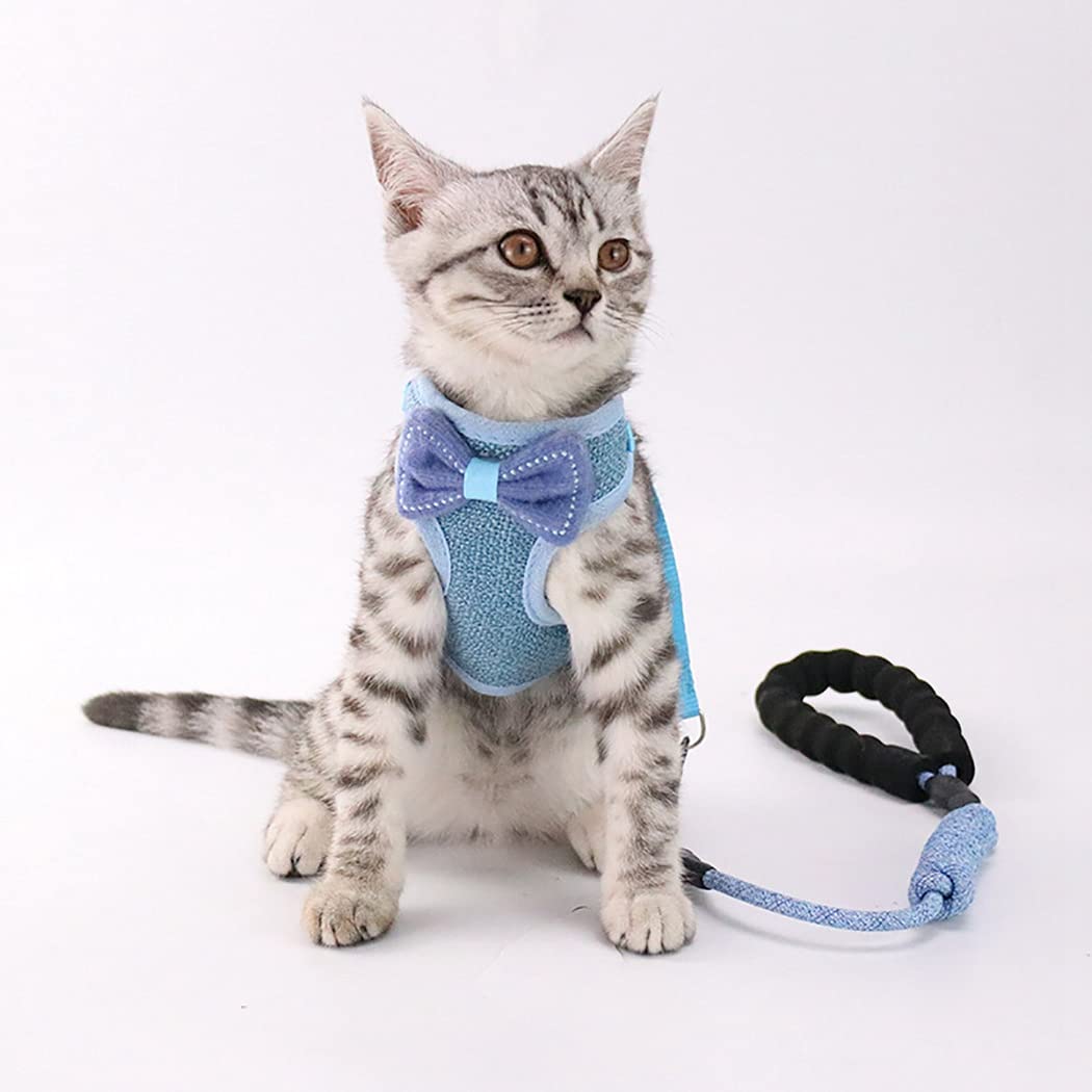 Harnais et Laisse pour Chat, Harnais Gilet Respirant Anti-Fuite, Laisse pour Animal de Compagnie avec nœud décoratif