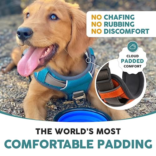 Embark Adventure Xl Dog Harness No-Pull Dog Harnesses For Extra Large, Medium And Small Dogs. 2 Leash Clips, Front & Back With Control Handle, Adjustable Orange Dog Vest, Soft & Padded For Comfort #TOP5