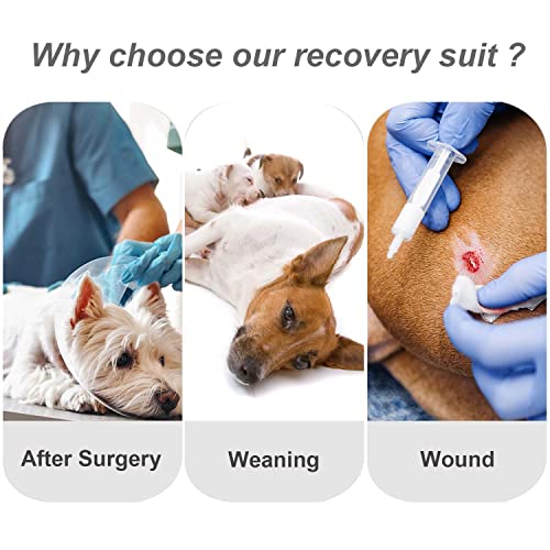 Image of Dog Surgery Recovery Suit Pet Surgical Onesie Long Sleeve After Surgery Wear Pet E-Collar Alternative for Female Male Dog with LegYellow Stripe /X-Large
