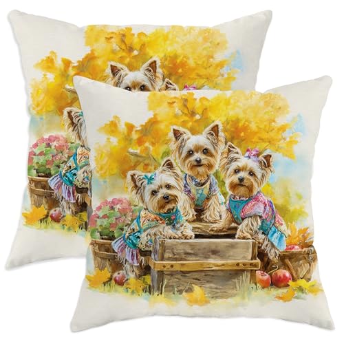 Juego de 2 fundas de cojín otoñales de Yorkshire Terrier, diseño floral de perros, fundas de cojín rústicas decorativas para el hogar, fundas cuadradas para sofá, cama, sofá, 18 x 18 pulgadas