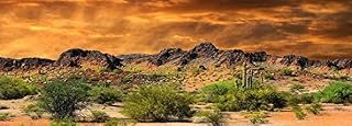 Reptile Habitat, Terrarium Background, Orange Desert Sky with Cactus - (Various Sizes)