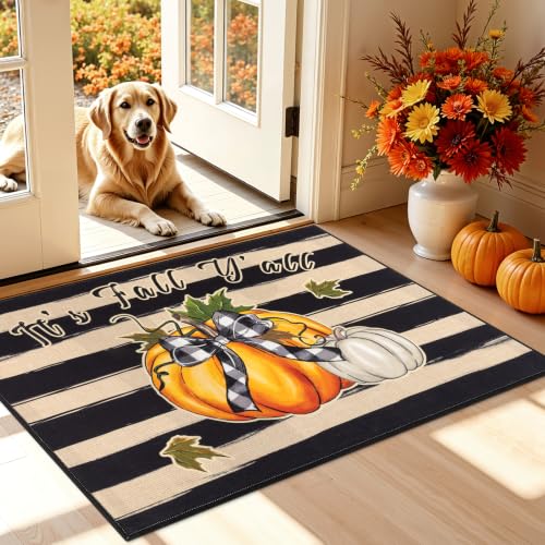 32 x 48 Vaukki Fall Pumpkin Entryway Doormat 8.49 + Free Shipping w/ Prime or on 35+ + 50% Off Code QE4TYGP4 - image 1