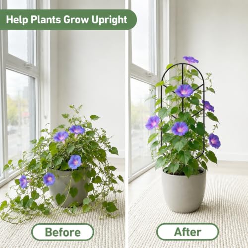 Image of Plant Trellis for Potted Plants, Trellis for Climbing Plants